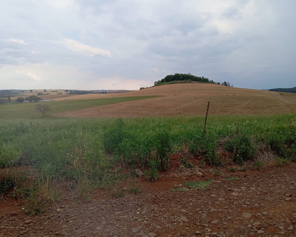 WhatsApp Image 2025-10-06 at 21.24.52 (1)