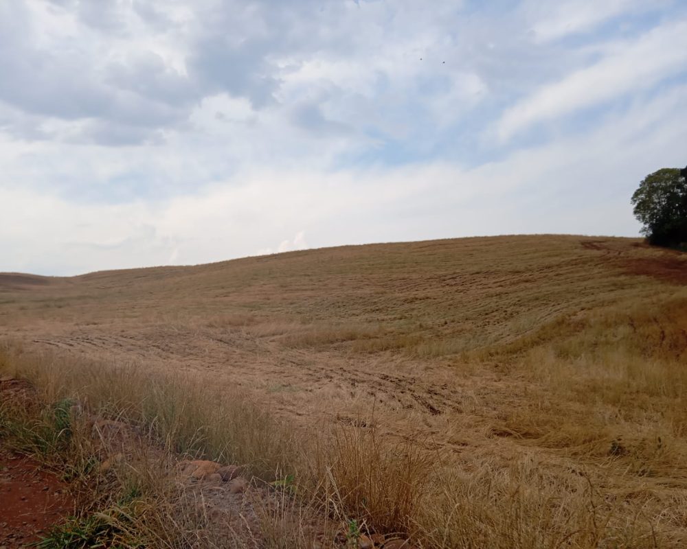 WhatsApp Image 2025-10-06 at 21.24.52