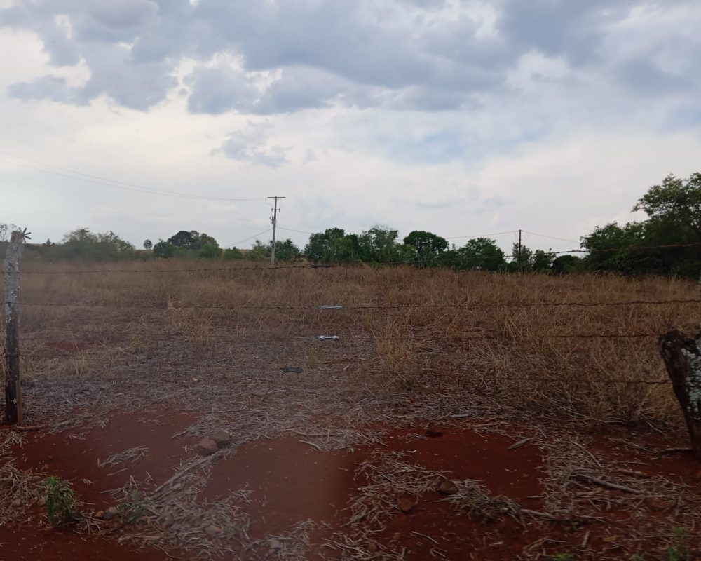 WhatsApp Image 2025-10-06 at 21.24.53