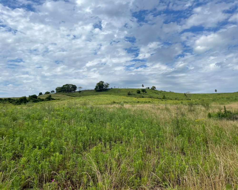 WhatsApp Image 2025-10-21 at 10.37.28 (1)