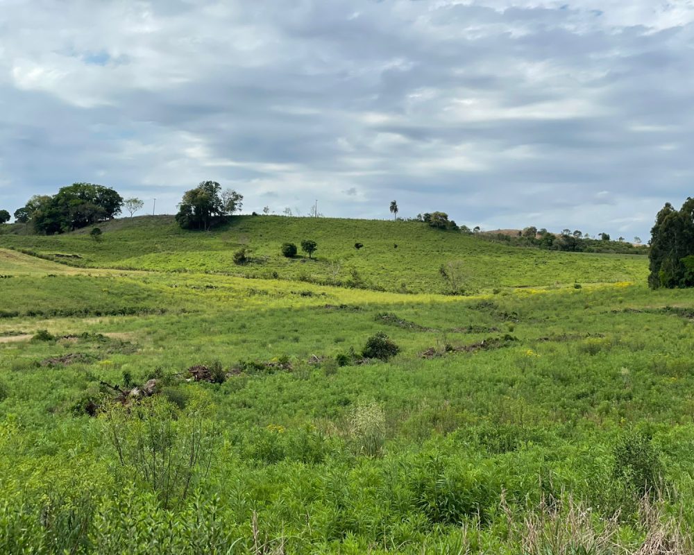 WhatsApp Image 2025-10-21 at 10.37.28 (2)