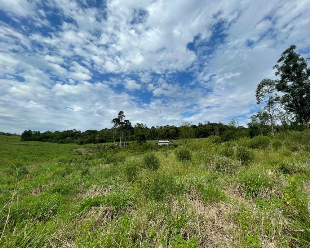 WhatsApp Image 2025-10-21 at 10.37.28 (3)