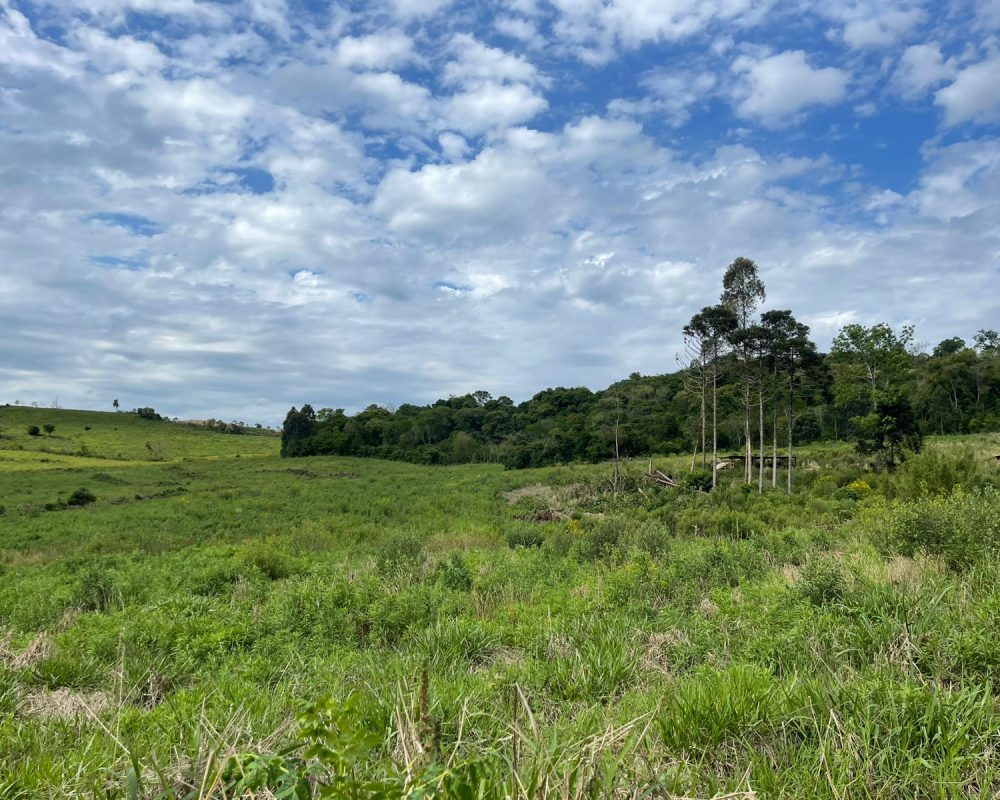 WhatsApp Image 2025-10-21 at 10.37.28