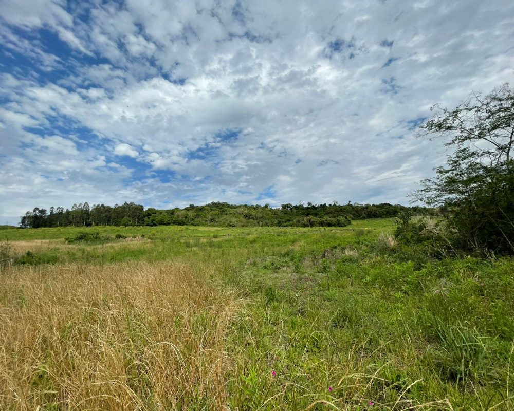 WhatsApp Image 2025-10-21 at 10.37.29 (1)