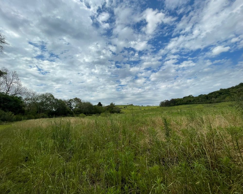 WhatsApp Image 2025-10-21 at 10.37.29 (2)