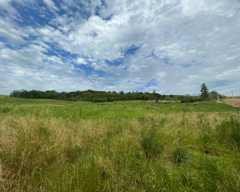 WhatsApp Image 2025-10-21 at 10.37.29