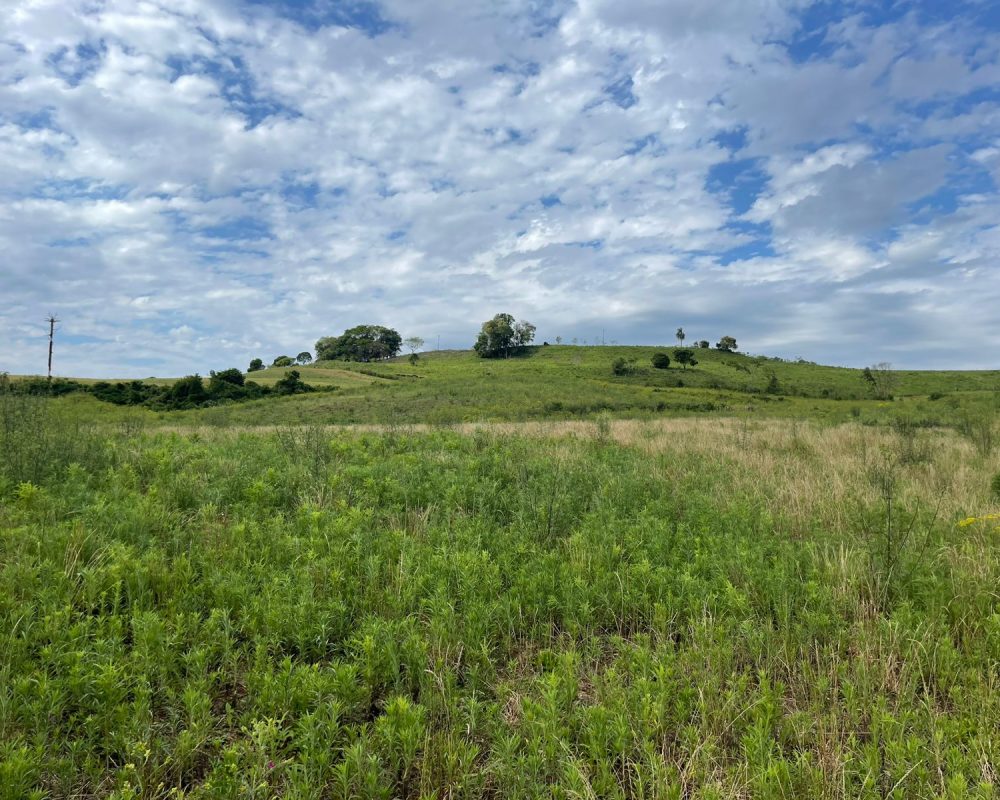 WhatsApp Image 2025-10-21 at 10.37.30